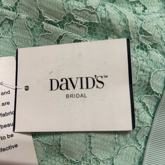 Dave’s Bridal Mint Green Lace Dress Size 14 - Picture 6 of 7